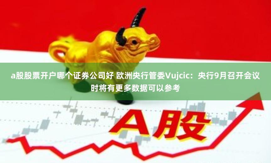 a股股票开户哪个证券公司好 欧洲央行管委Vujcic：央行9月召开会议时将有更多数据可以参考